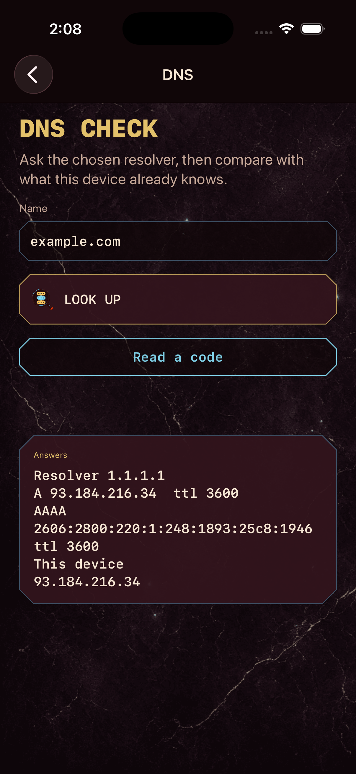 DNS check screen